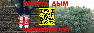 гидропоника Бердск