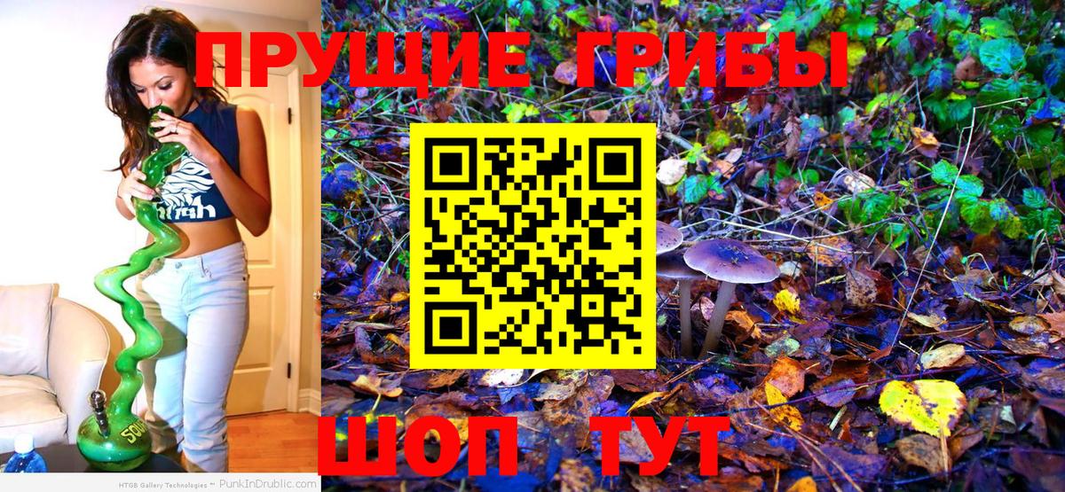 Псилоцибиновые грибы мухоморы  Вход с VPN  Псилоцибиновые грибы Cubensis  Асбест 